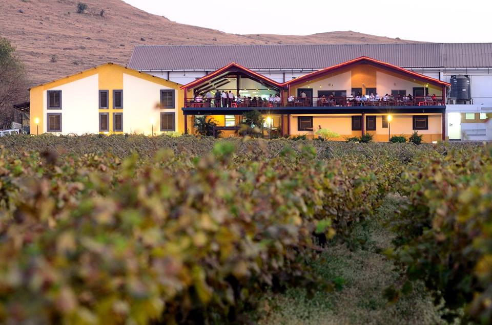 Sula Vineyard Front View