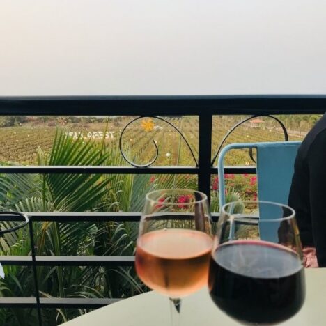 Wines_Sula Vineyard