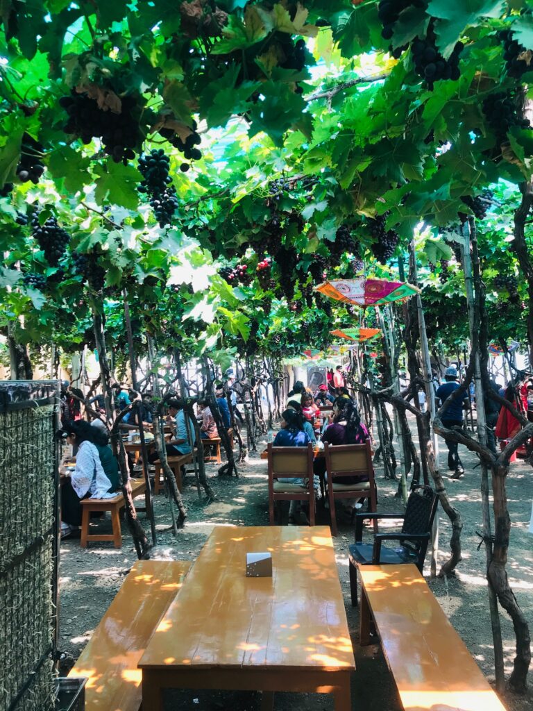 Grape Embassy_Nashik