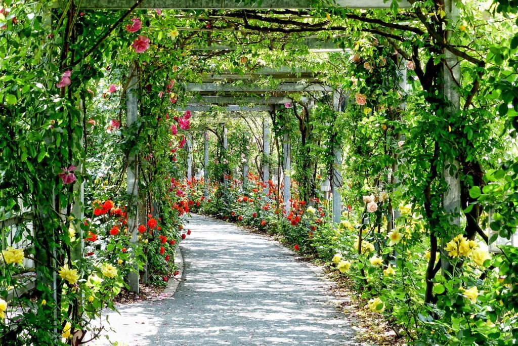 Flower Park (garden) - Nashik